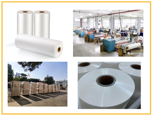 100MM - 2200MM 幅 100% 透明性のある 摩擦耐性のあるコーティングフィルム