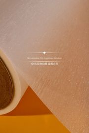 湿気の防止の熱いラミネーションのフィルムの高性能の強い粘着度