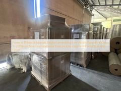 印刷物を保護 デジタルラミネートフィルム 幅 通常100mm～2200mm 環境に配慮しない 特徴 印刷保護と仕上がりを保証